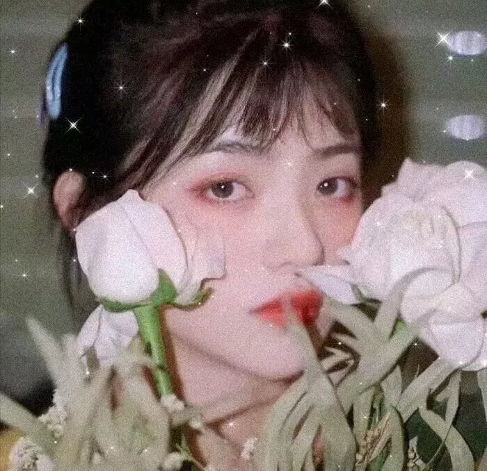最后的嬉皮